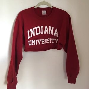 !!VINTAGE IU CROPPED SWEATSHIRT!!